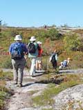 The Bluff Trail