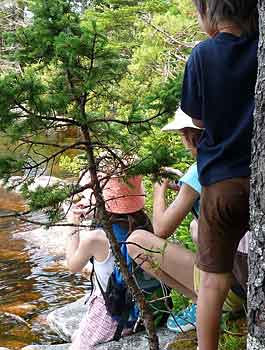 The Bluff Trail