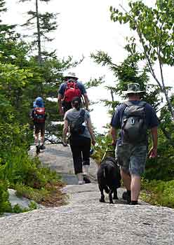 The Bluff Trail